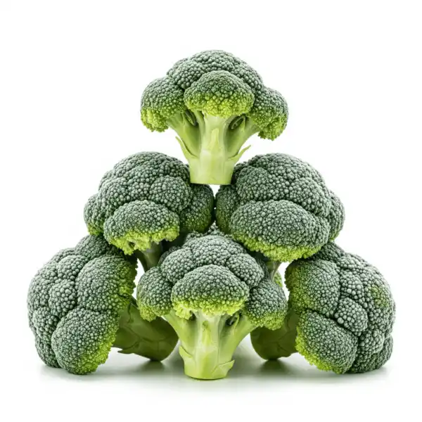 Premium IQF Broccoli