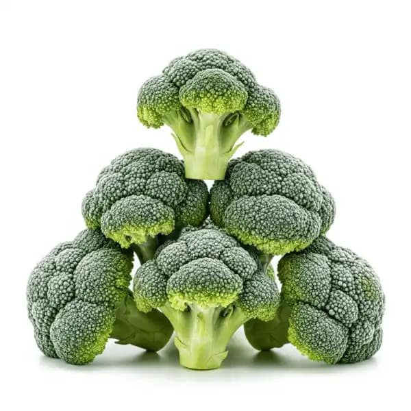 Broccoli