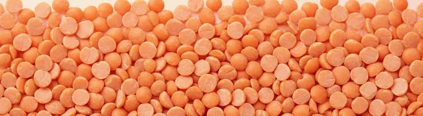 Split Red Lentils