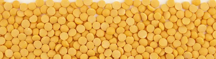 Yellow Lentils