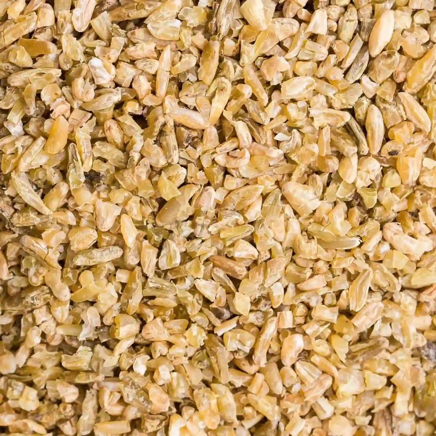 Freekeh