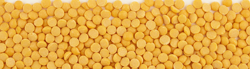 Yellow Lentils