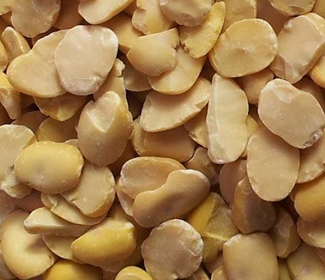 Split Fava Beans