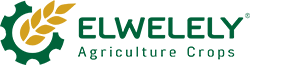 ElWelely Logo