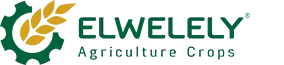 ElWelely Logo