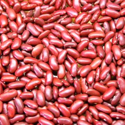 Red-kidney-beans-2